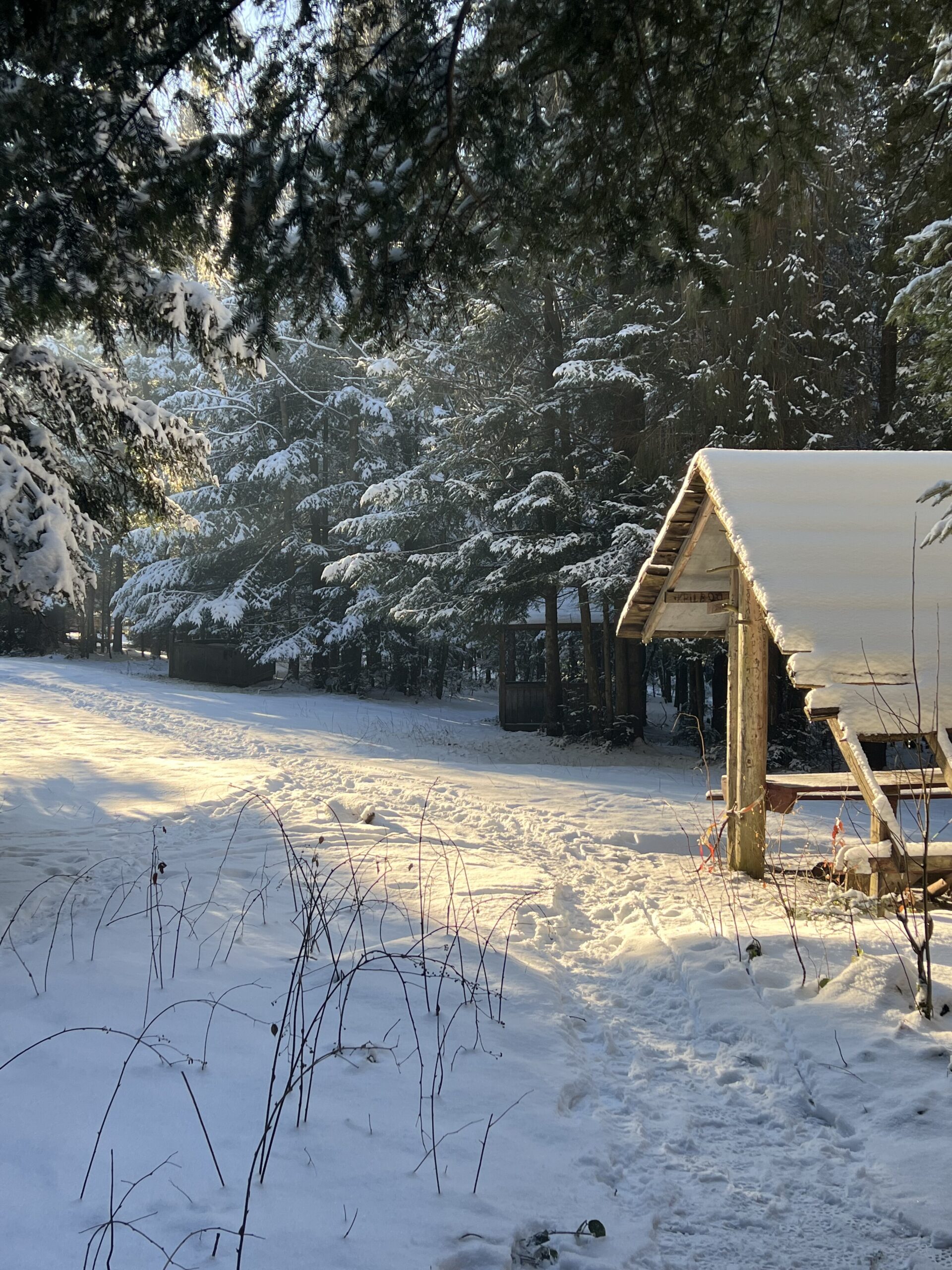 Дорога до джерела